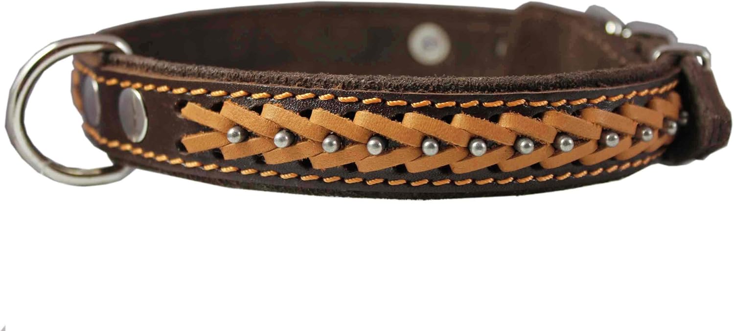 Genuine Leather Braided Studded Dog Collar, Brown 1" Wide. Fits 14"-18" Neck.
