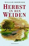  Herbst in den Weiden