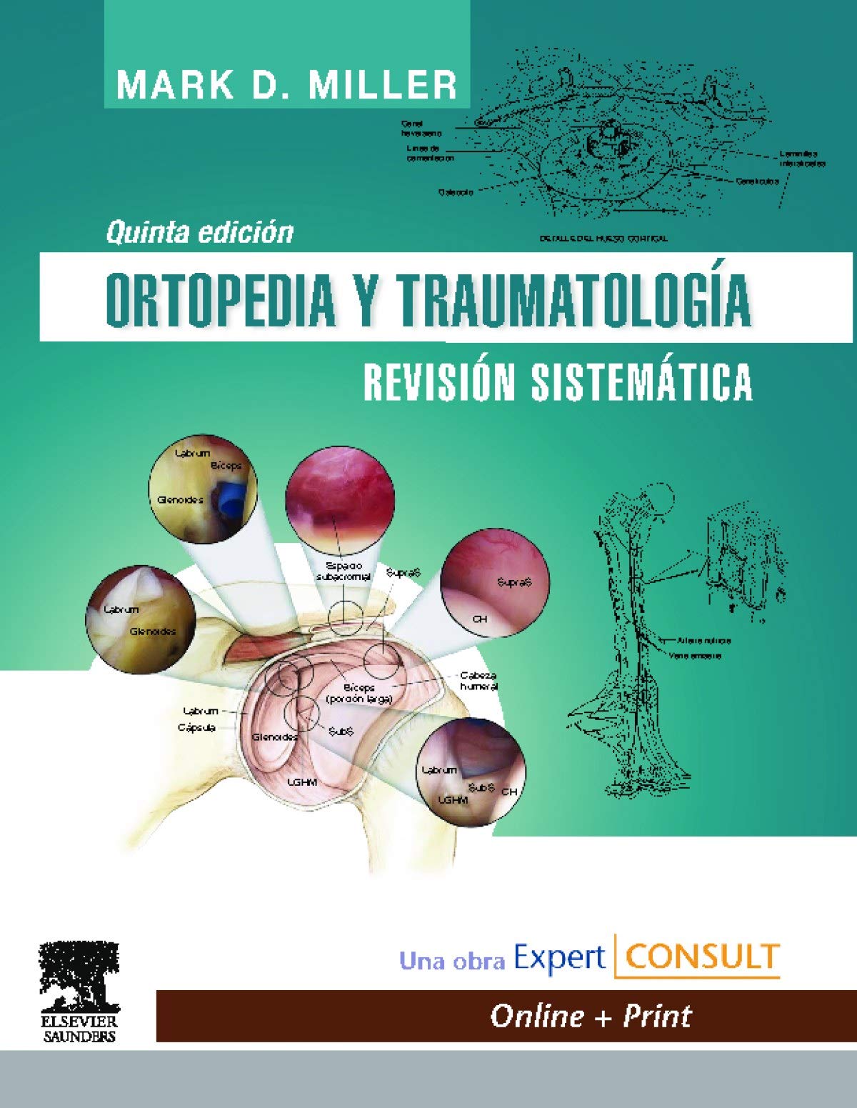 Ortopedia y traumatología. Revisión sistemática + Expert Consult