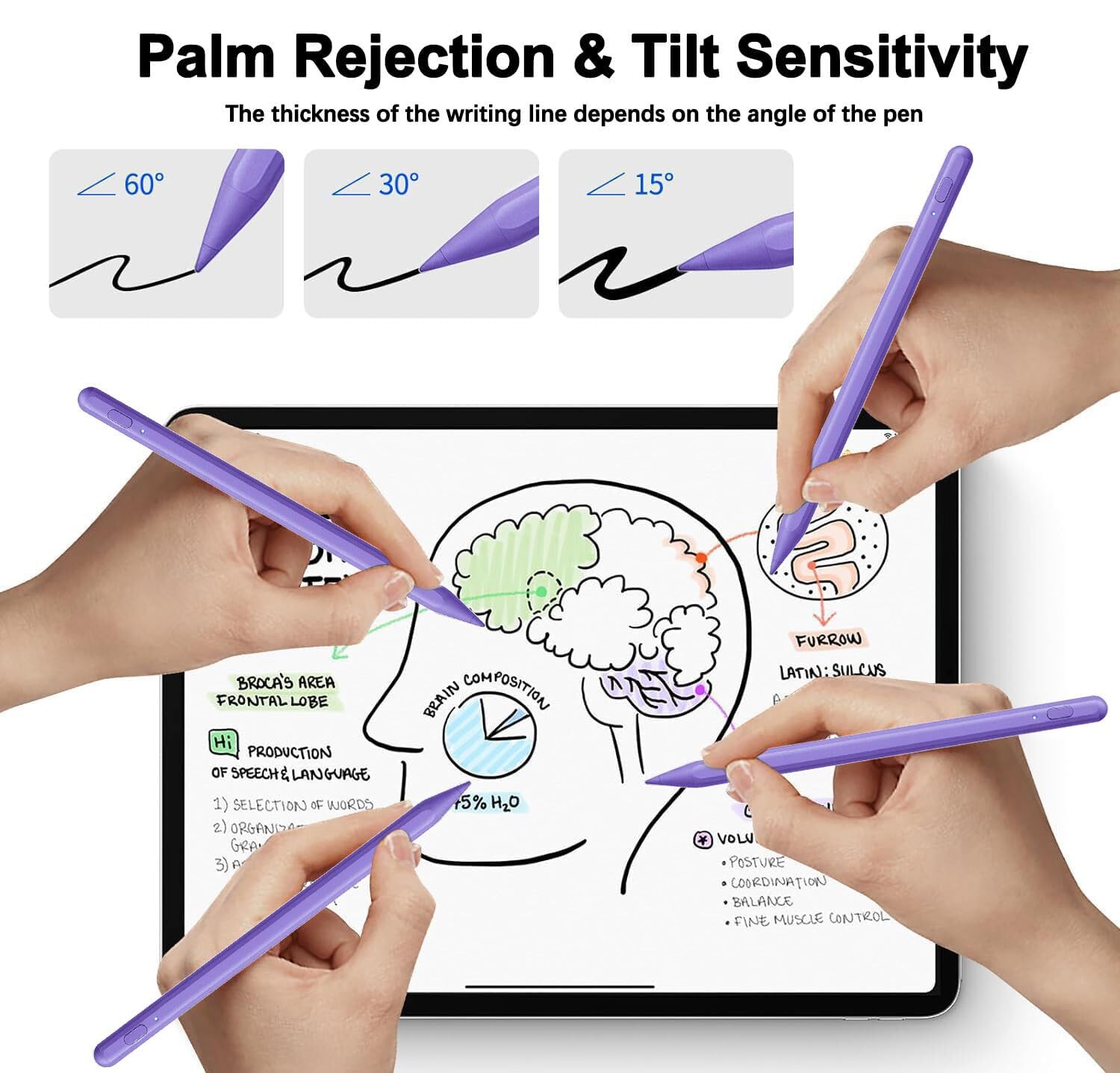 Lot de 2 stylets pour iPad 11e/10e 2018-2025 - Sensibilité à l'inclinaison - Parfait pour Apple iPad A16/11/10/9/8/7/6e, Pro 12,9"/11"/13" M5/M4, Air M3/M2/5/4/3, Mini A17/5. /6e - Violet