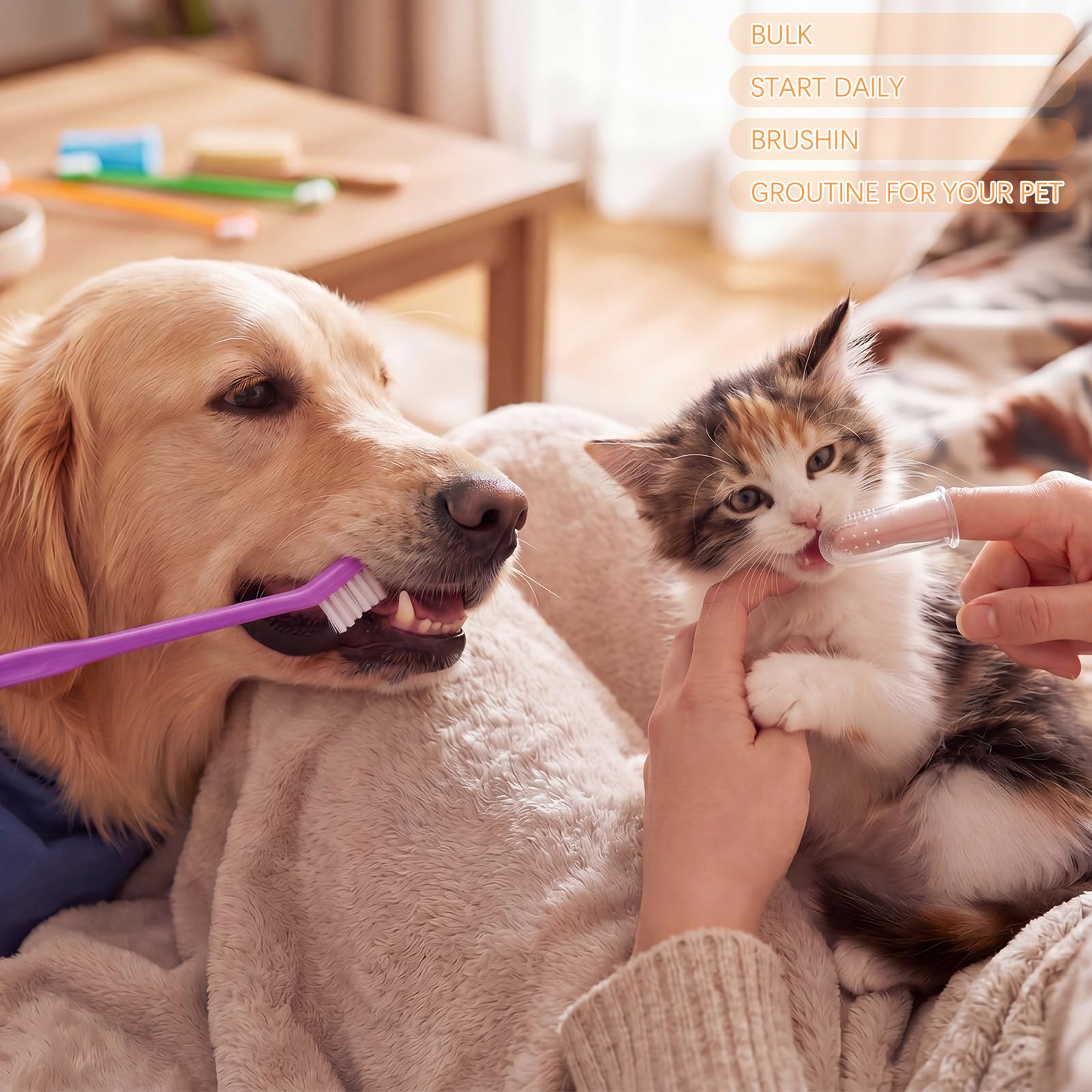 Lot de 200 brosses à dents pour chien en vrac, 100 brosses dentaires à double tête, 100 brosses à doigts à 360 degrés, nettoyage facile des dents pour animaux de compagnie, entretien doux