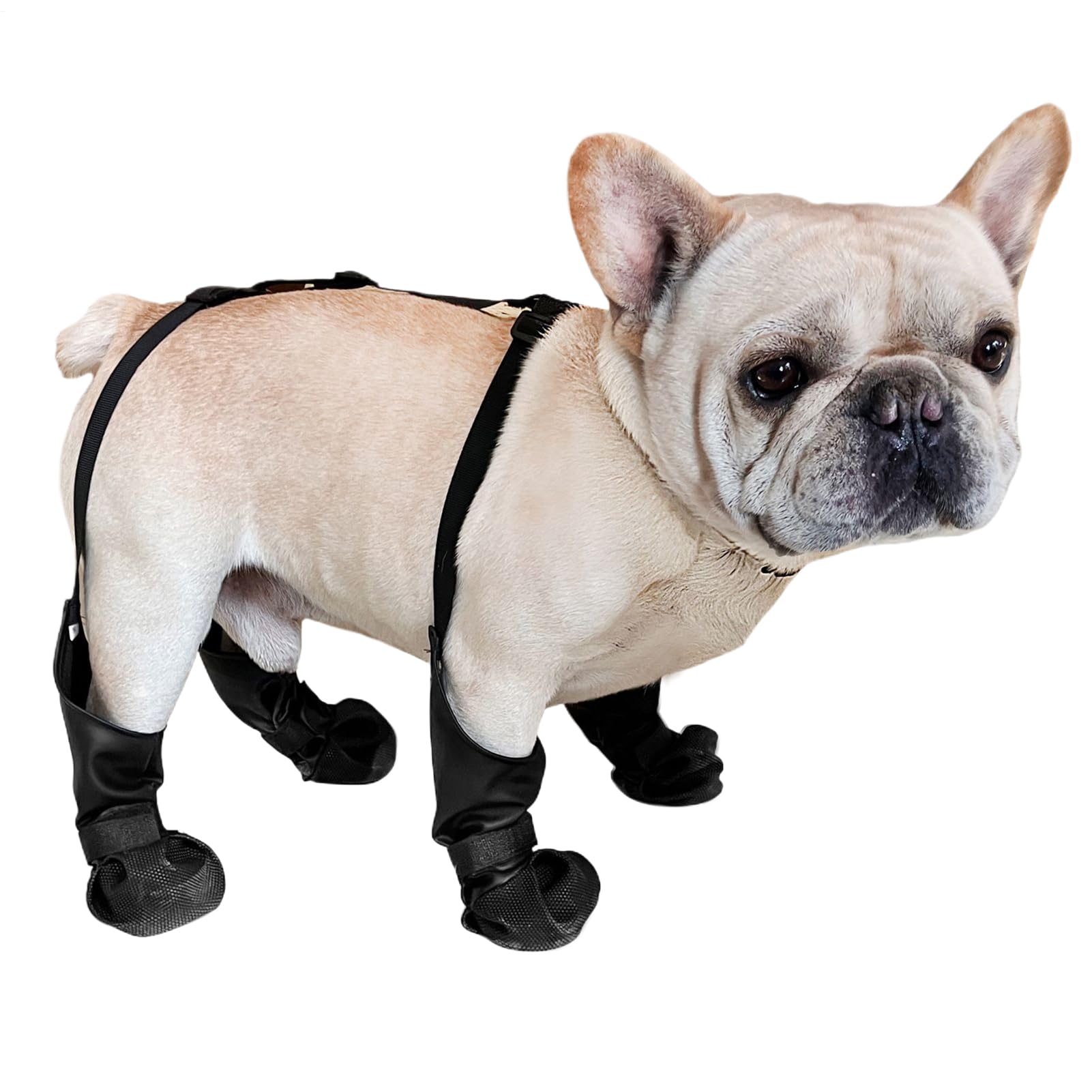 Chaussures pour chien imperméables anti-perte pour la marche