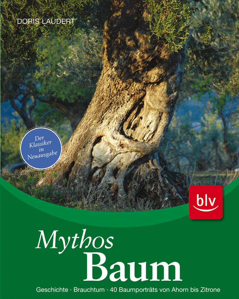 Mythos Baum: Geschichte · Brauchtum · 40 Baumporträts von Ahorn bis Zitrone