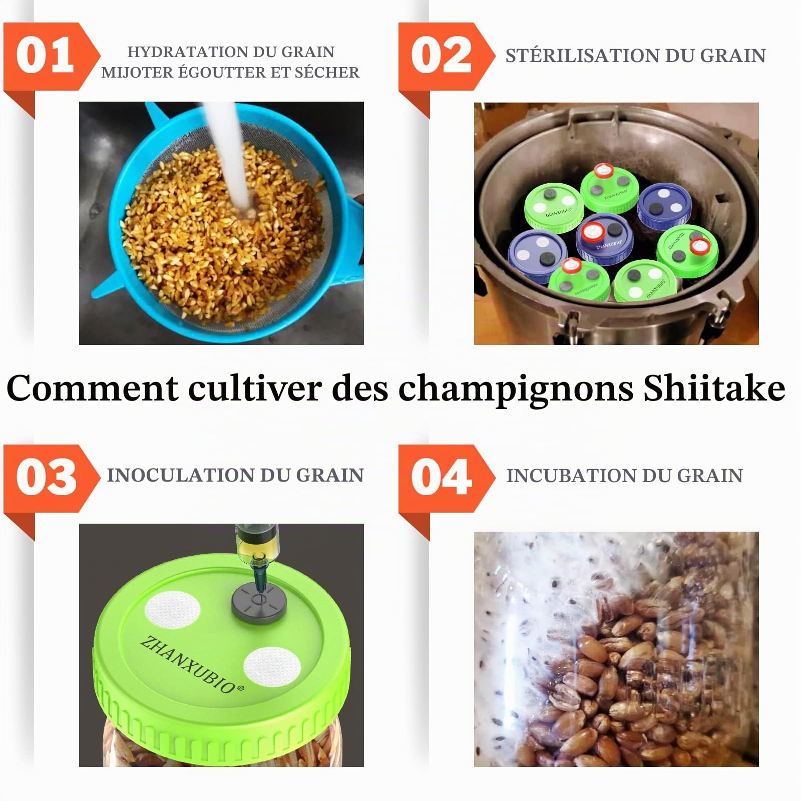 Couvercle pour culture de champignons ZHANXUBIO à large ouverture, équipé d'un filtre à membrane en PTFE et d'orifices d'injection auto-obturants (lot de 6, vert, bocal non inclus)