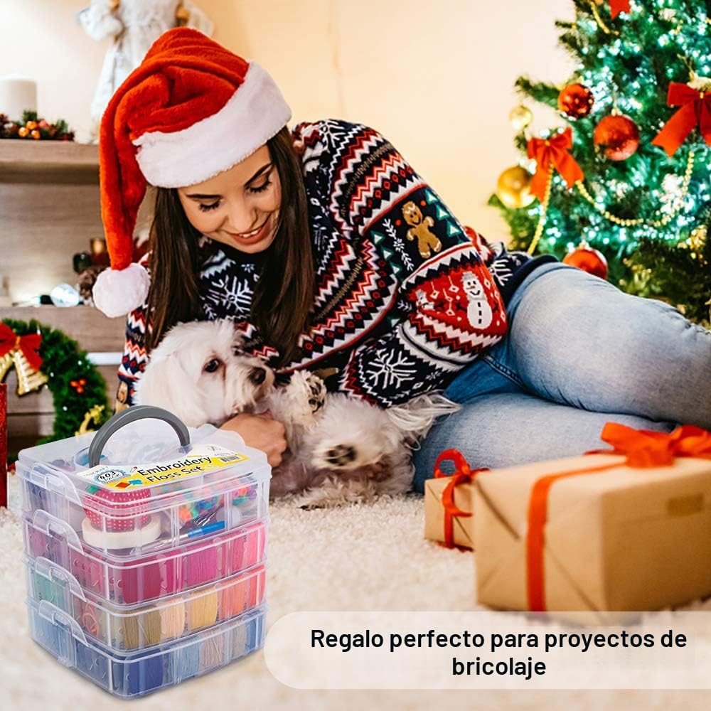 Inscraft - Kit de hilos de bordar, 403 artículos, 250 colores, hilo de punto de cruz y pulseras de la amistad con 153 herramientas de punto de cruz, caja transparente de 4 niveles para almacenamiento
