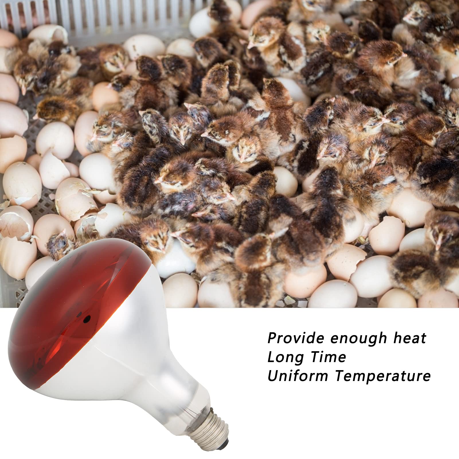 Yctze Ampoule de Lampe Chauffante pour Poussins, Ampoule à Réflecteur Infrarouge en Verre 250 W pour Poulet et Volaille