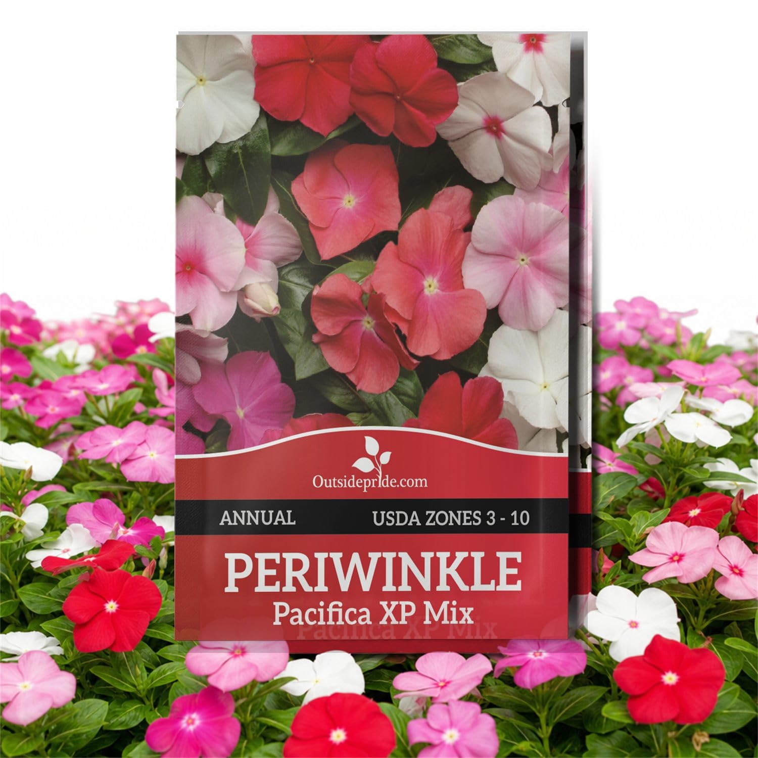 Amazon.com : Outsidepride Cora Cascade Mix Periwinkle Seeds for