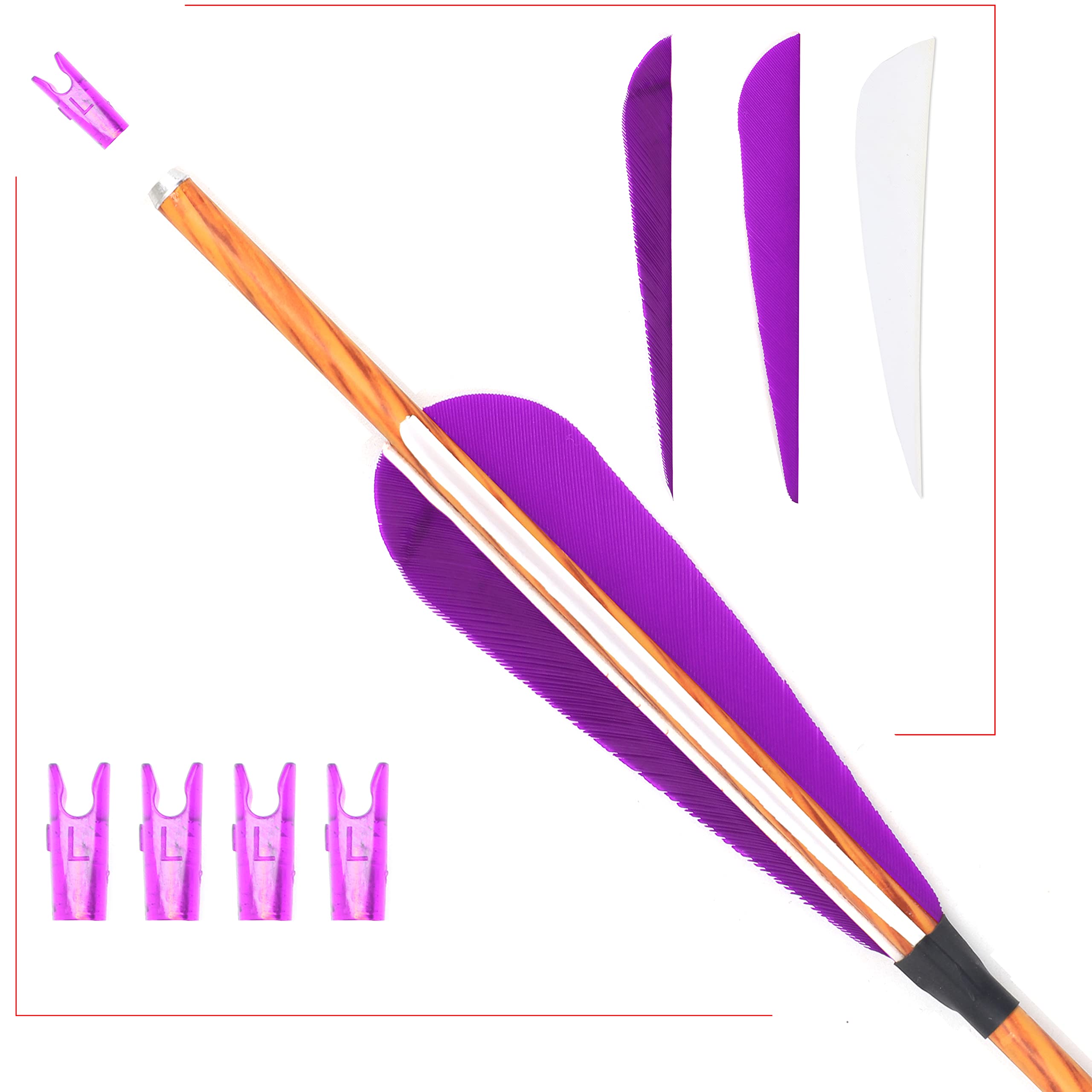 12 Frecce Carbonio Puro PHILOCS - Spine 300-1000, 4 Piume Tacchino, Per Archi Compound/Ricurvi - Foto 9