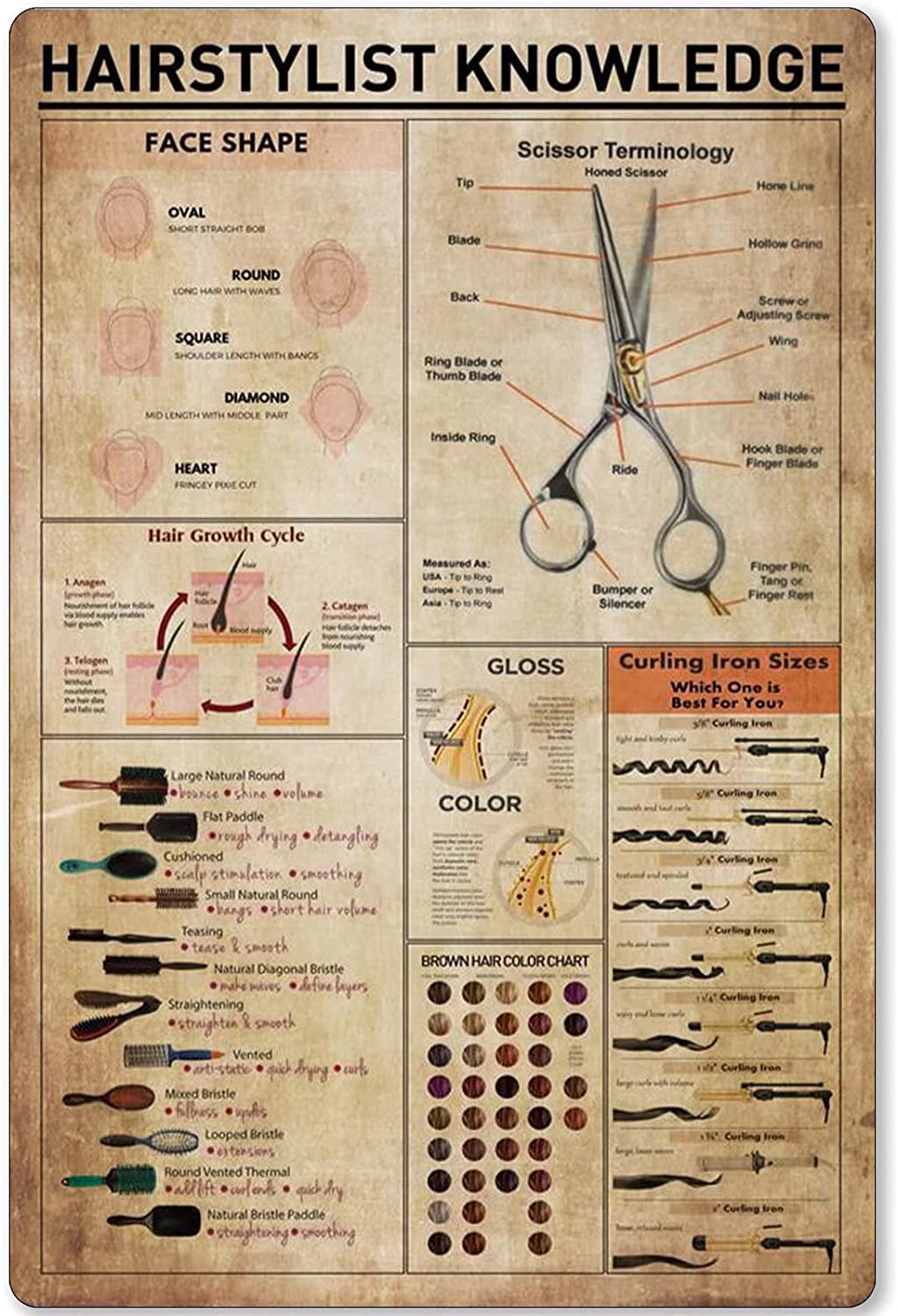 Hairstylist Knowledge Metal Sign Face Shape Unplaning Infographic Tin Poster Barber Shop Club Garage Home Kitchen Wall Decoration Plaque 8x12 Inches