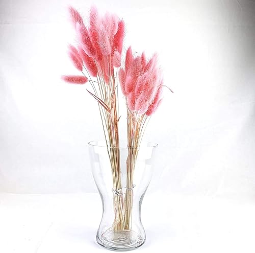 Miniatura 18 de Paquete de 100 gavillas de trigo seco marfil, arreglos de otoño premium, al por mayor, bricolaje, mesa para el hogar, boda, Navidad (amarillo)