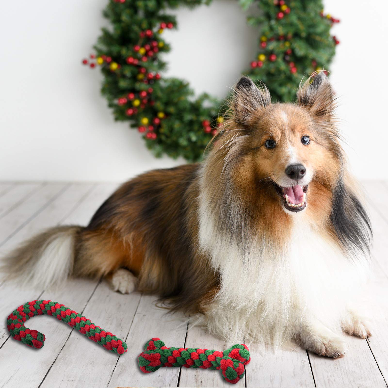 ADXCO - Juego de 4 juguetes de Navidad para masticar juguetes de cuerda de perro para bastón de caramelo masticable agresivo y forma de hueso, apto para perros pequeños, medianos y grandes