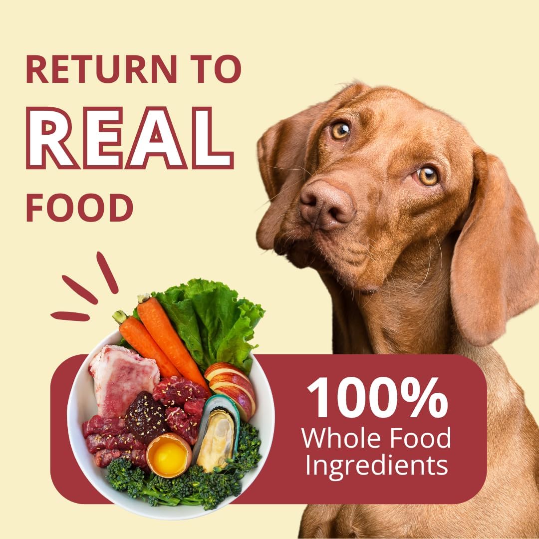 Steve's Real Food Freeze-Dried Raw Nuggets 2-Pack - Beef Recipe - Raw Pet Food for Dogs and Cats - 20 oz in Each Bag