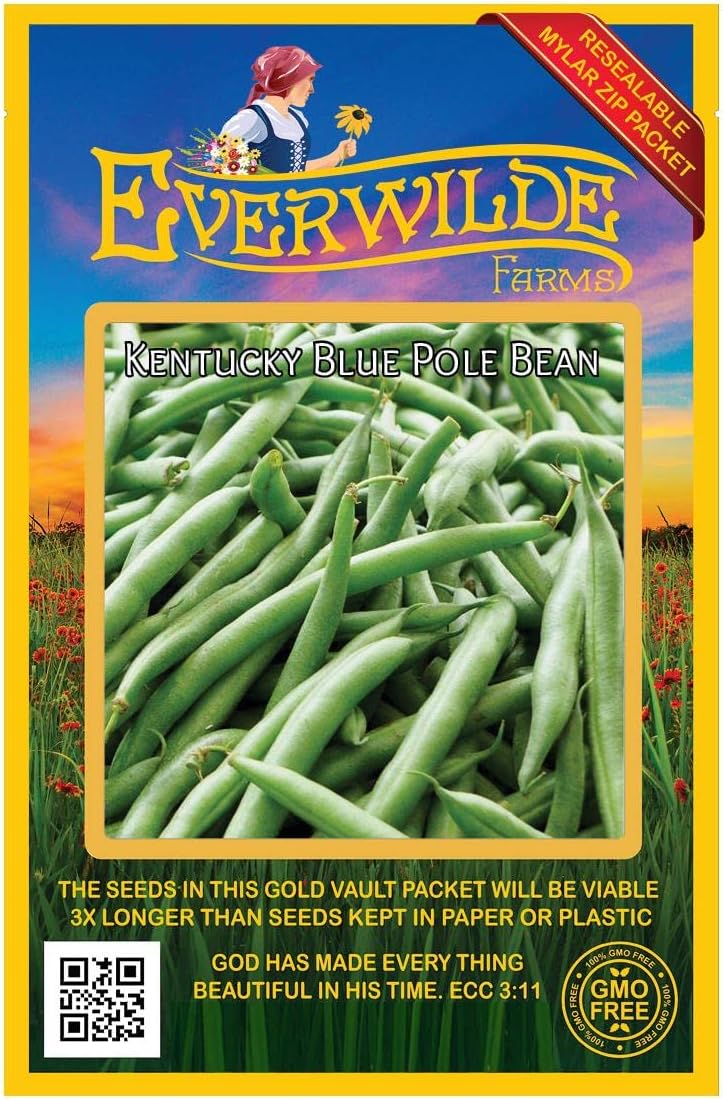 Everwilde Farms - 1 Lb Kentucky Blue Pole Bean Seeds - Gold Vault
