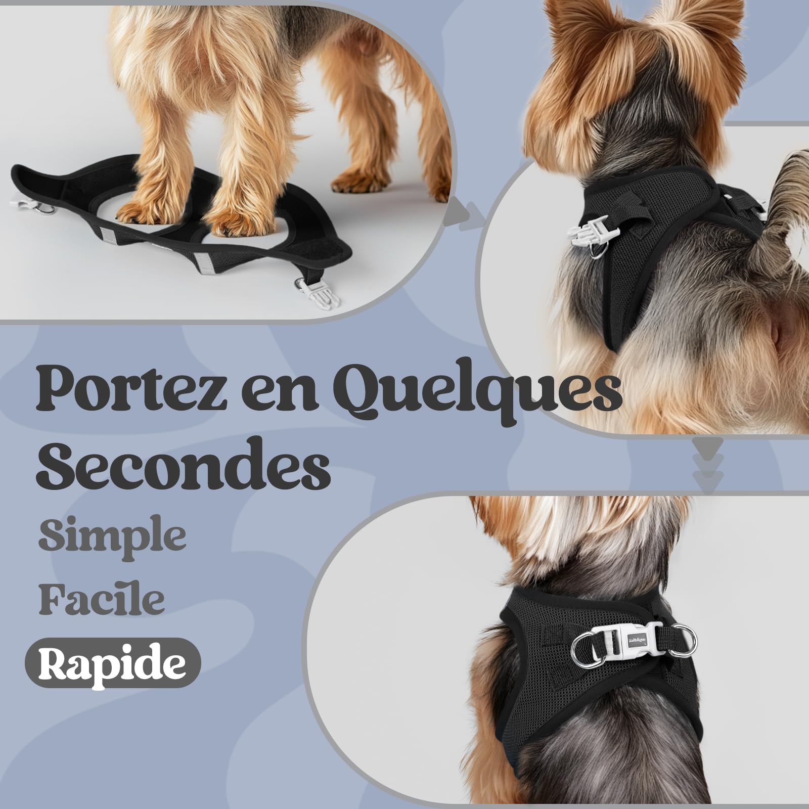 rabbitgoo Harnais Chien Petite Taille Noir S, Harnais Chiot Respirante en Maille Souple, Arnet pour Chien Réfléchissant Facile à Mettre, Gilet Réglable pour Petits et Moyens Chiens pour Marche Course