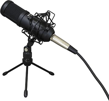 TASCAM TM-70 End Address Dynamic Microphone