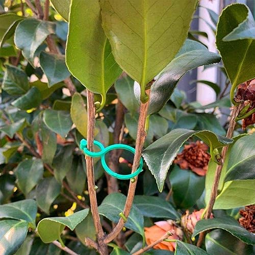 Miniatura 6 de 100200 clips para plantas trepadoras, clips de jardín, verduras, tomate, vid, flores, clip giratorio para plantas, clips de soporte para plantas