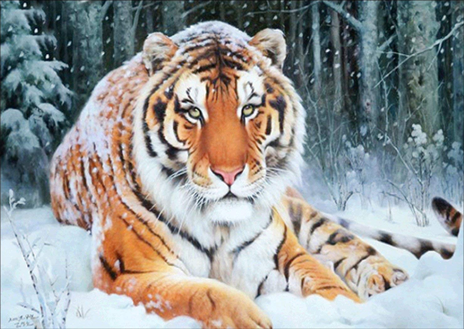 DIY 5D Diamond Painting by Number Kit,5D Diamond Art Partial Drill Snow Tiger Crystal Rhinestone Embroidery Cross Stitch Arts Craft Supply Canvas Wall Decor