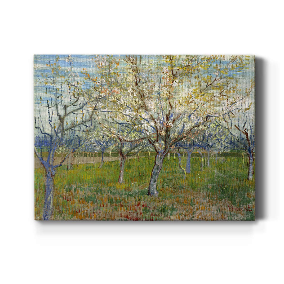 Renditions Gallery Orchard with Blossoming Apricot Trees by Vincent Van Gogh Printed Famous Painting Reproduction Premium Gallery Wrapped