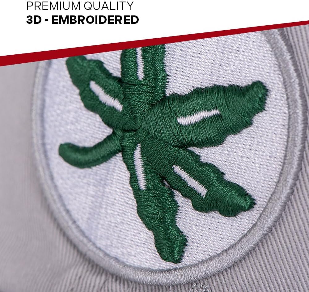 Desert Cactus The Ohio State University Baseball Hat OSU Buckeyes Brimmed Embroidered Hats Cap Strap Adult (Style XVW)