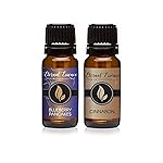 Eternal Essence Oils 2 Pack 10ml Premium Fragrance Oil - Blueberry Pancakes & Cinnabon - for Candle, Soap Making, Aromatherapy, Diffusers, Home Care, & Humidifiers