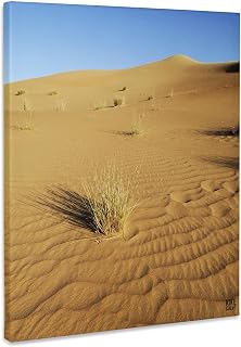 3dRose, Dubai Conservation Desert Reserve in Mirdif Dubai United Arab Emirates, Museum Grade Canvas Wrap 16x20