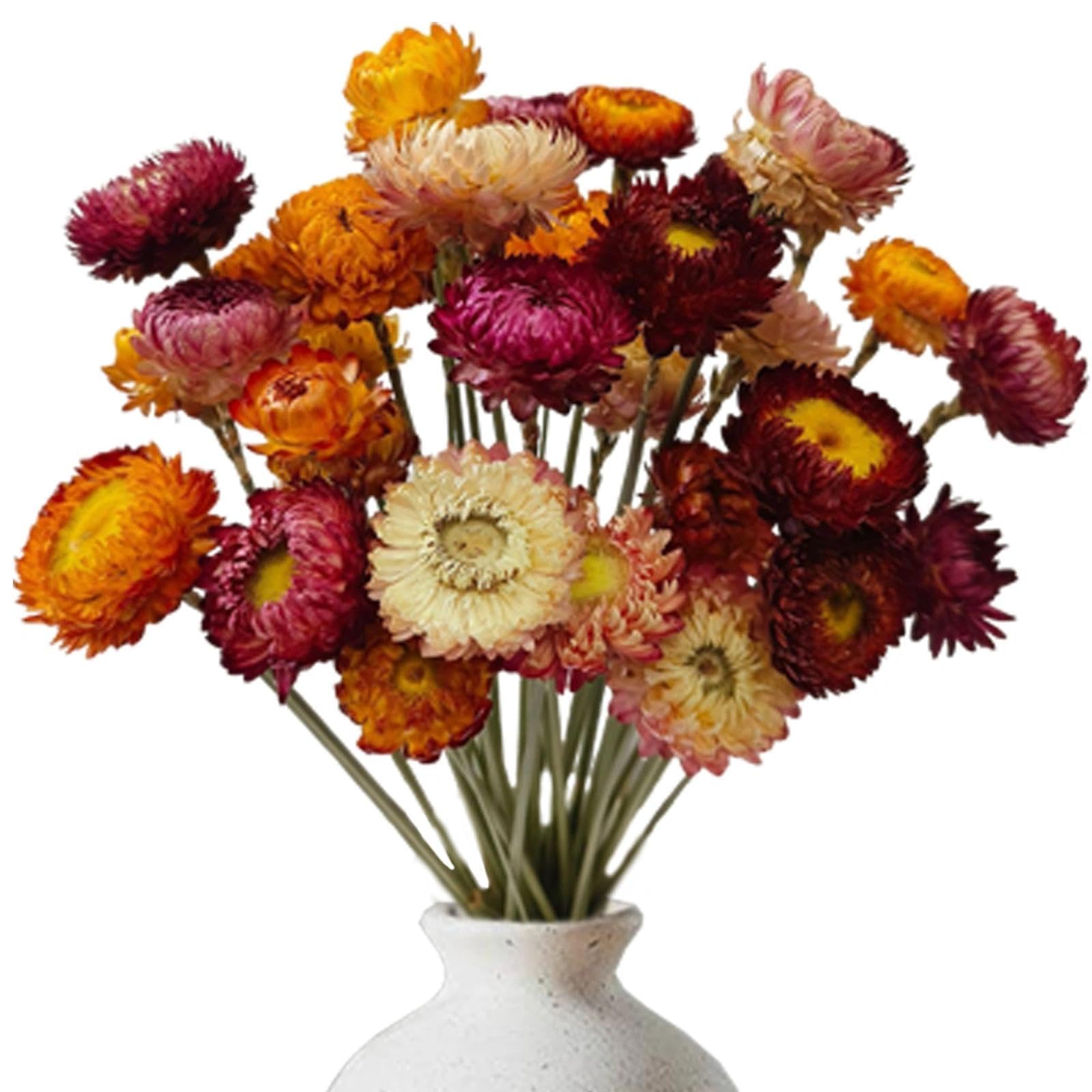 20 Piezas Flores Secas, Colores Mixtos Flower Margaritas Secas Naturales Flores Secas Decoracion – Mini Ramos Naturales para Manualidades DIY Scrapbooking Bodas y Hogar