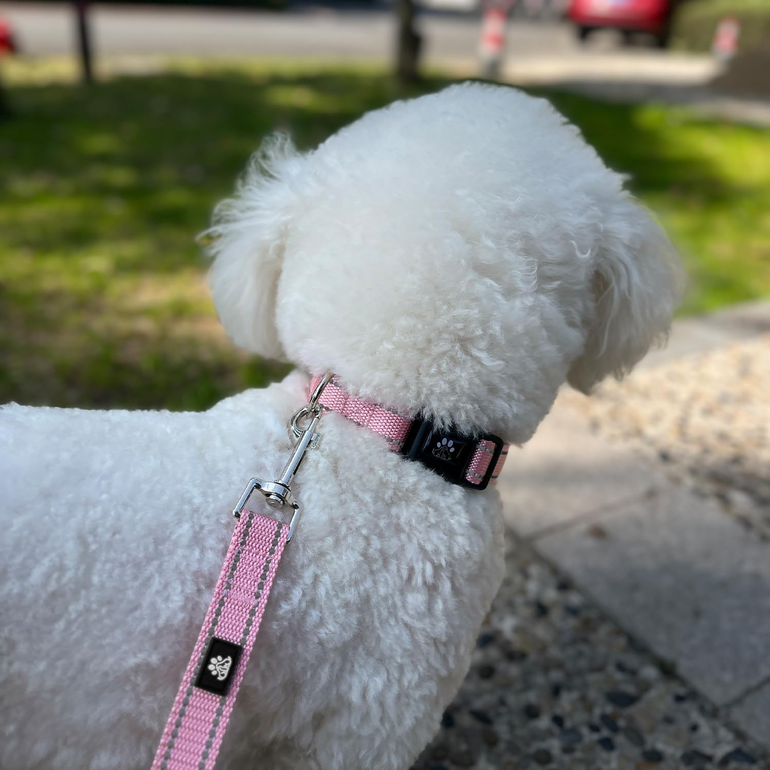 FURRYFECTION Reflective Dog Collar and Leash Set with Quick Release Buckle, Padded with Neoprene Adjustable Nylon Dog Collar for Small Medium and Large Dogs (Medium Collar+5FT Leash, Pink) Pink Collar+Leash Medium(16-20" Length,1.0" Width) image 2 of 6 B0C9ZGS287