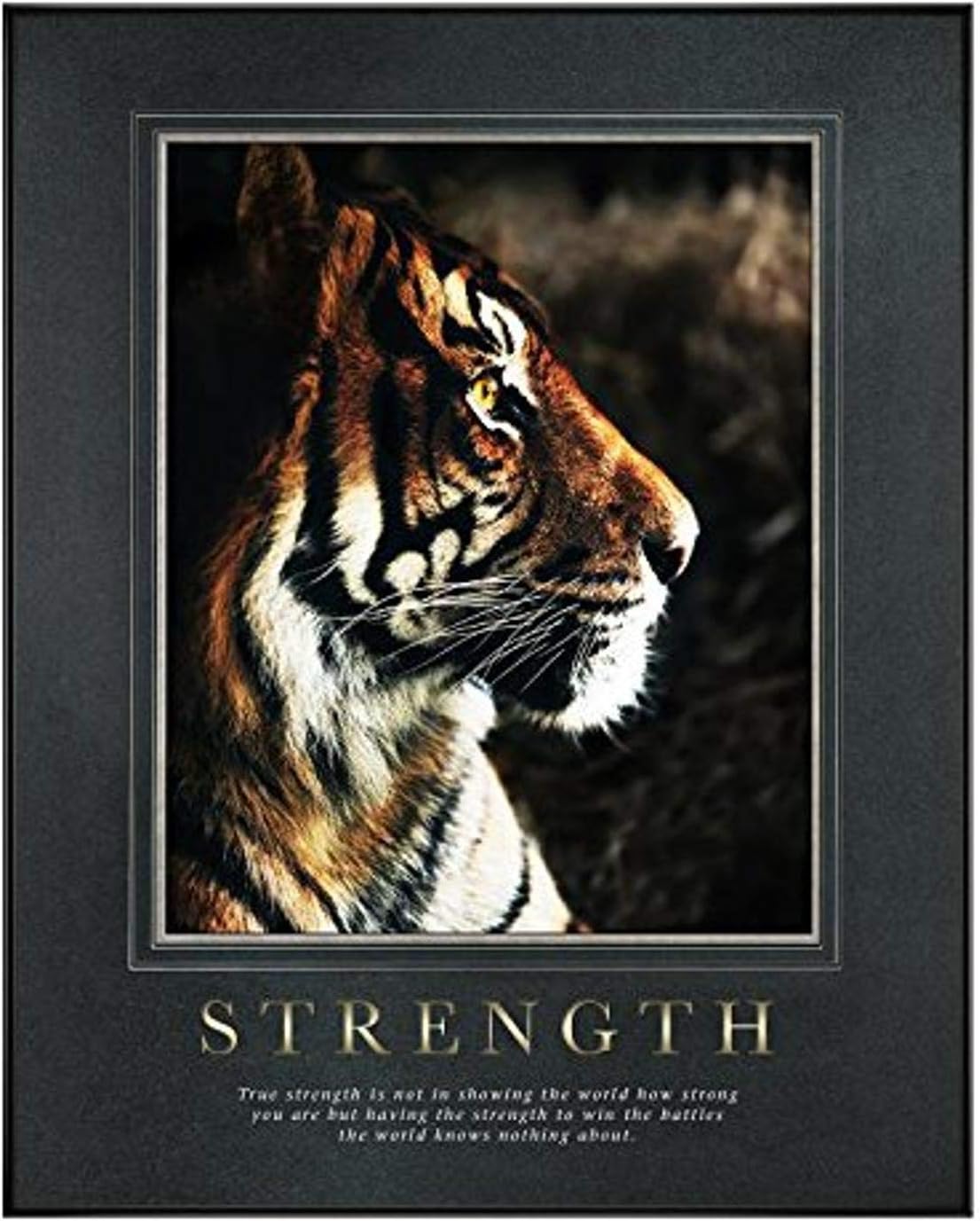 Successories 732449 Strength Tiger Motivational Poster with Black Aluminum Frame in 0.25", Gunmetal Mats & Foil Stamping