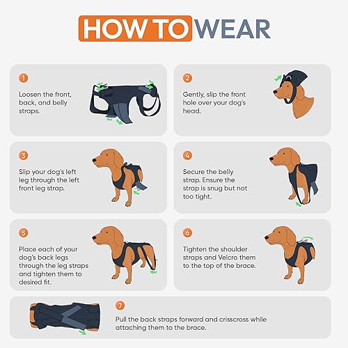 Miniatura 5 de L'il - Brazal de espalda para IVDD en perros pequeños, artritis, recuperación quirúrgica espinal, hernia de disco, disco deslizado, rehabilitación