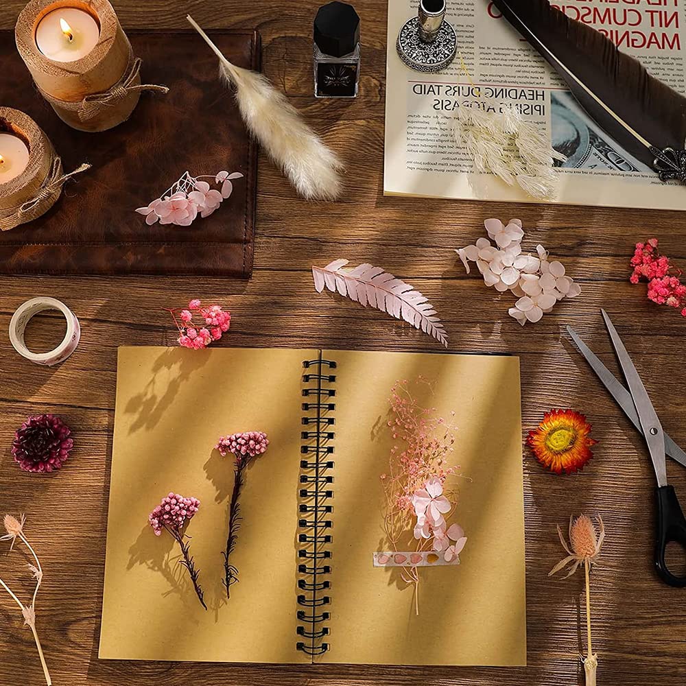 Fiori Secchi Pressati Naturali - 2 Scatole Per Resina, Bigiotteria E DIY - Foto 8