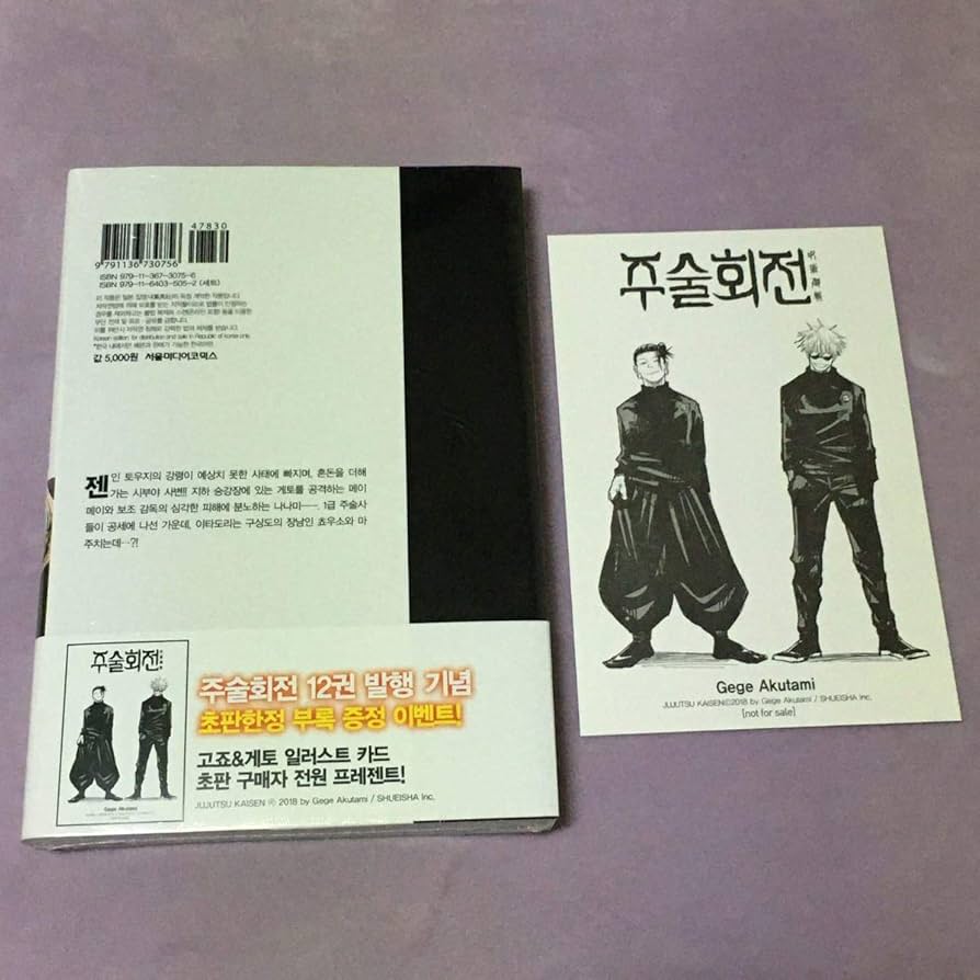 呪術廻戦 韓国版単行本 12巻 71IRyhqsttL._AC_UL210_SR210,