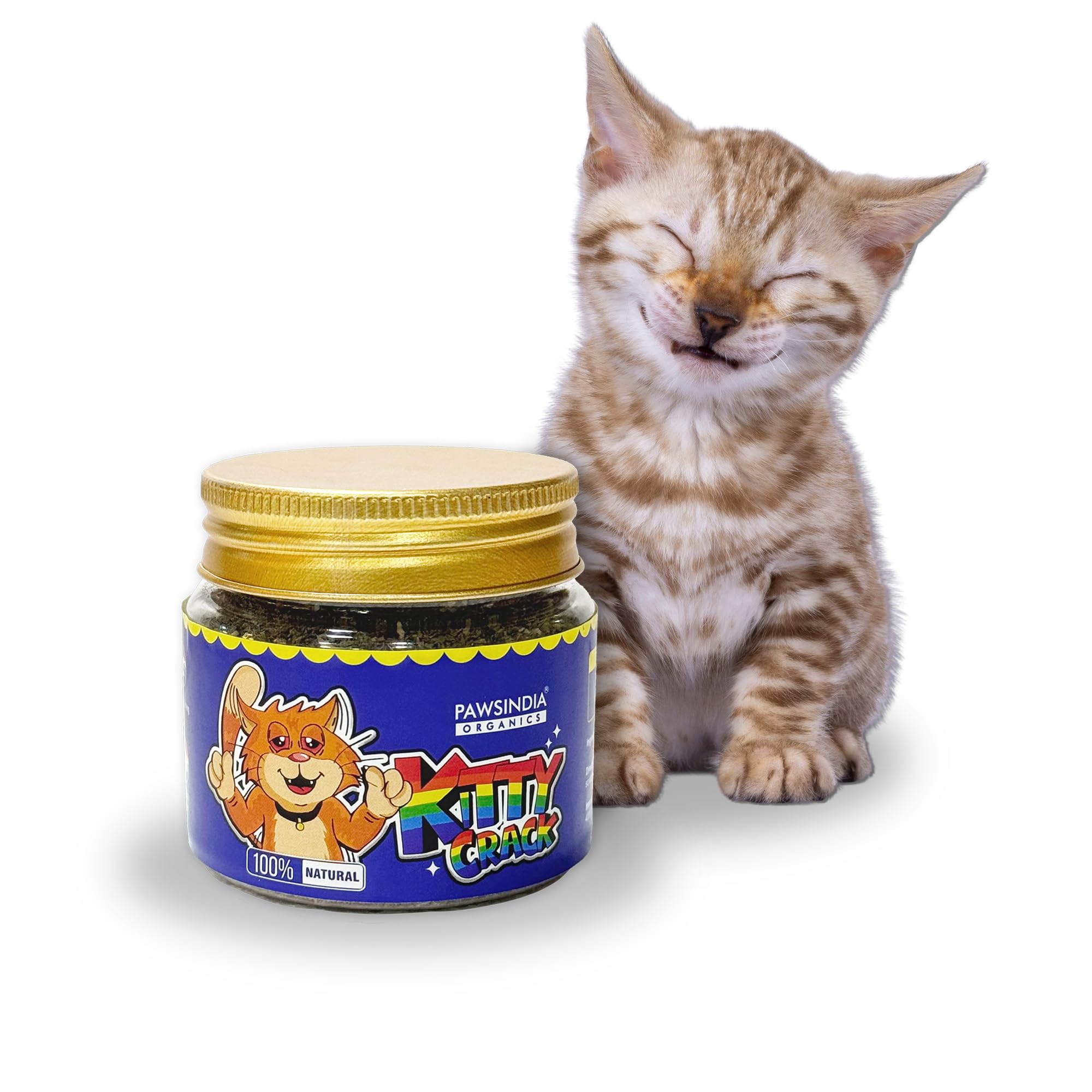 Pawsindia Organics Catnip for Cats & Kitten | 25g | All-Natural Cat Attractant and Playtime Enhancer | Reduce Anxiety | Promote Relaxation