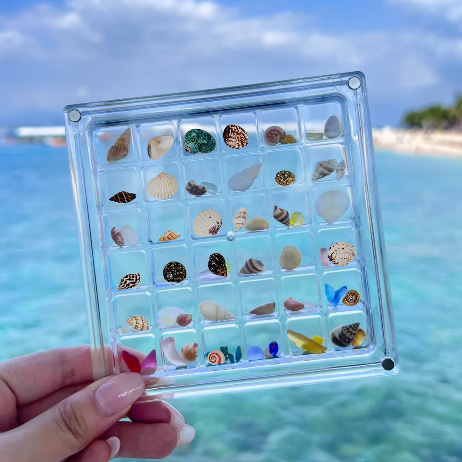 70 Conchiglie Marine Miste - Con Stelle Marine, Perle, Per Decorazioni, Fai Da Te, Tema Mare - Foto 6