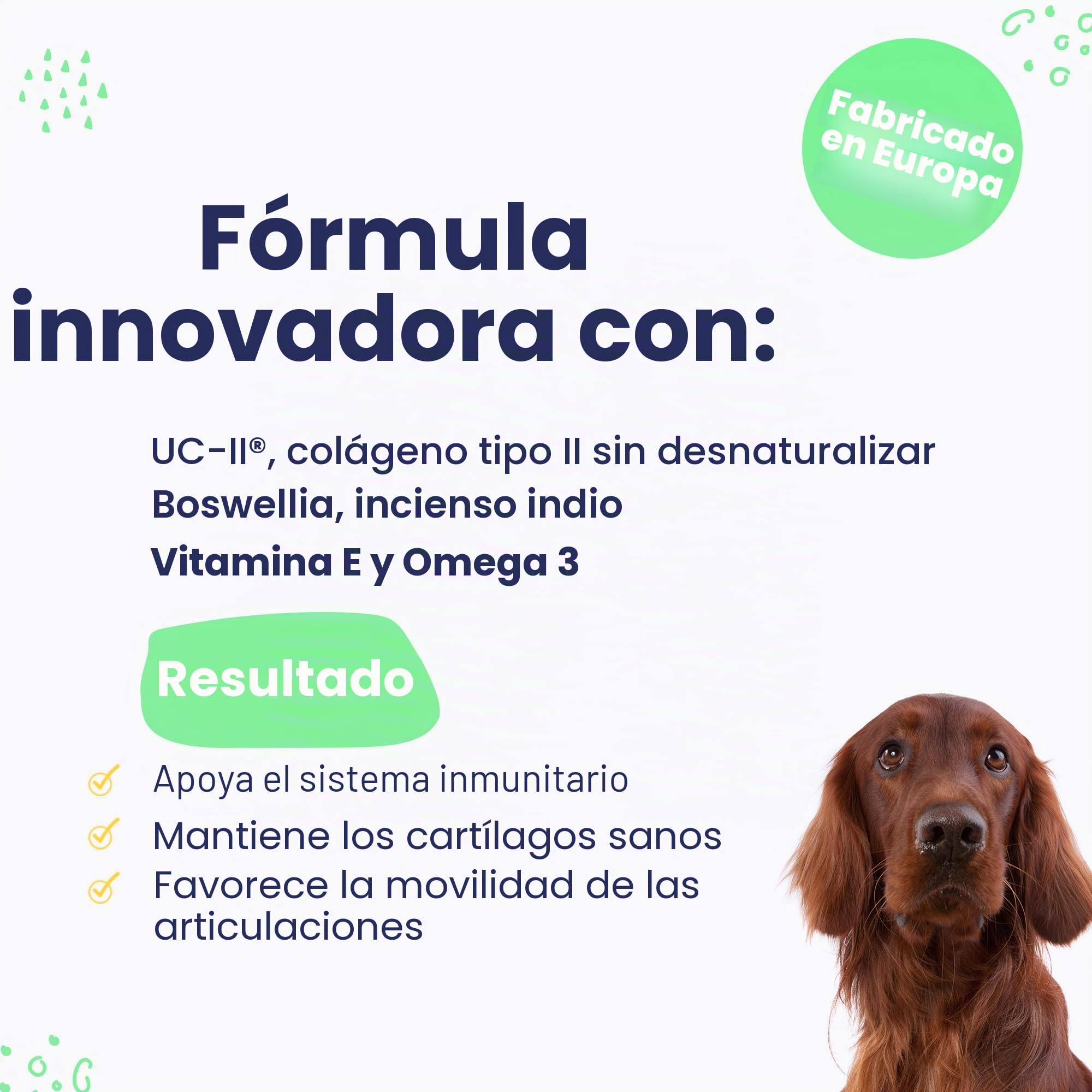 Flexadin Advanced para perros | Paquete doble | 2 x 60 Chews | Complemento alimenticio para apoyar la salud articular | Con colágeno inmunoactivo, Omega-3 y vitamina E