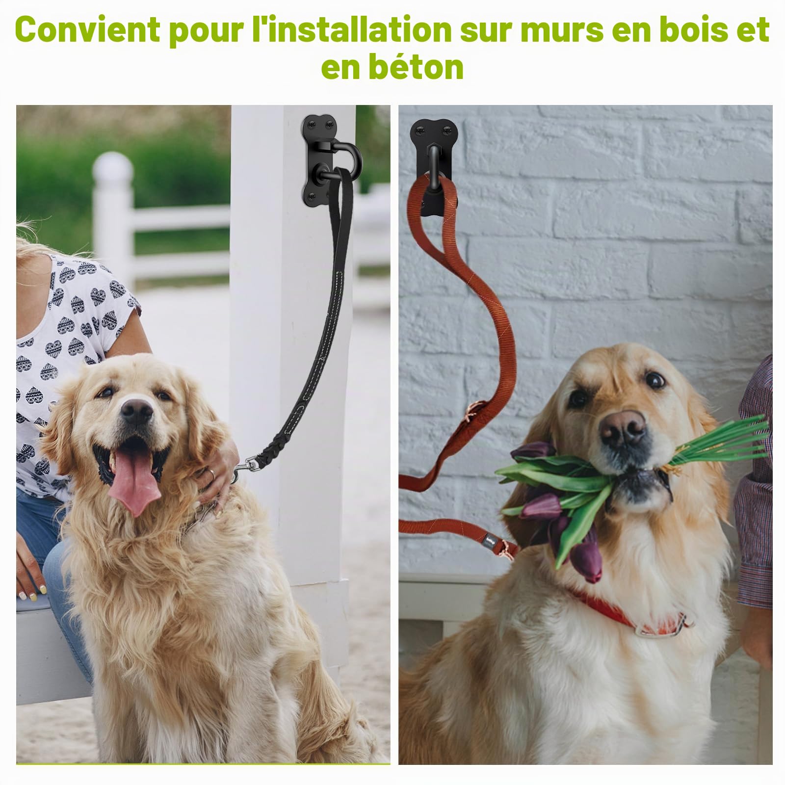 BeneLabel Support Laisse Chien Entrée Mural, Porte-Laisse Mural pour Animal Compagnie Cintre Mur Chien Mur d'Entrée pour l'intérieur et l'extérieur, Universel Grands/Moyens/Petits Canidé, J Crochet