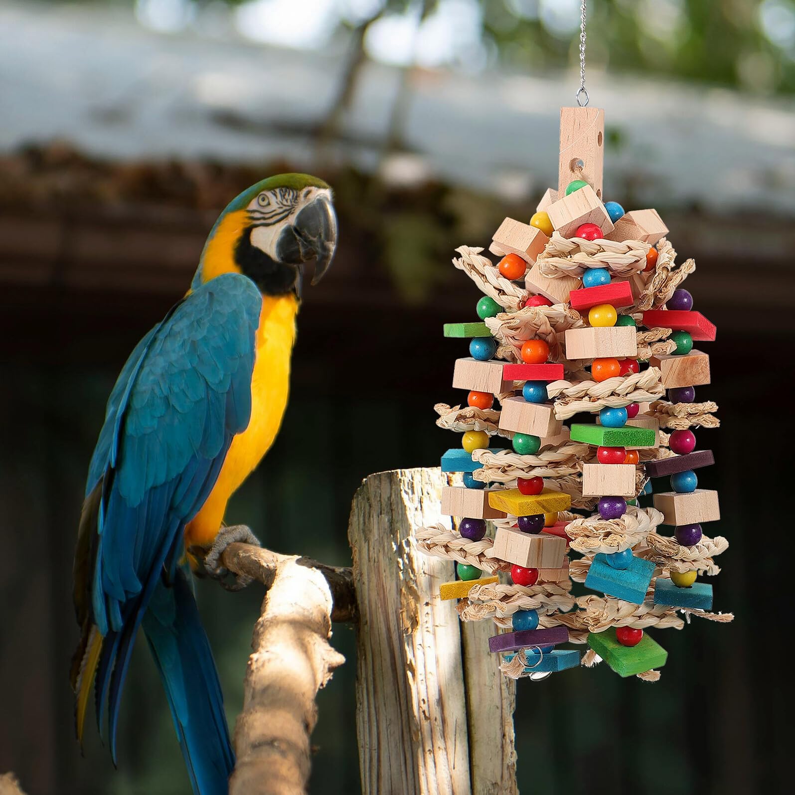 Gatuida Hängendes Papageien Kauspielzeug und Baumwollseil Rustikales Vogelspielzeug zum Aufhängen im Käfig Beißt Spielzeug für Papageien und Vögel
