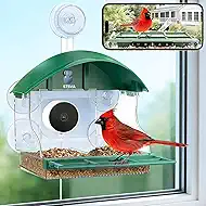 Window Bird Feeder with Camera,2K Live Video,AI Bird Identification,Instant Arrival Alerts,24/7 Recording,Support 2.4G/5G WiFi,SD Card&Cloud Storage.(Style-A Green)