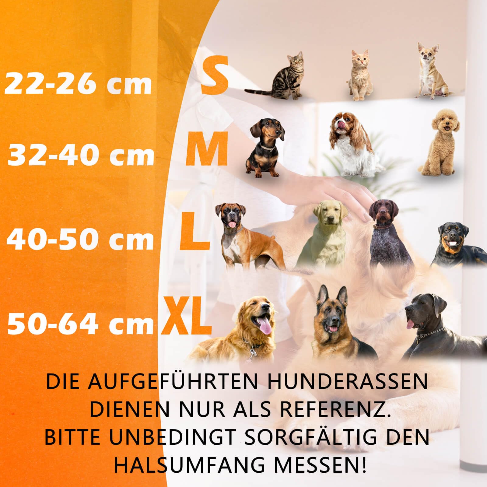 2-IN-1 Aufblasbare Halskrause Hund mit Trichter, Halskrause Katze, Katzenkragen Hundekragen Leckschutz Hund, Hundebody nach OP, Abnehmbar Kragen Katze