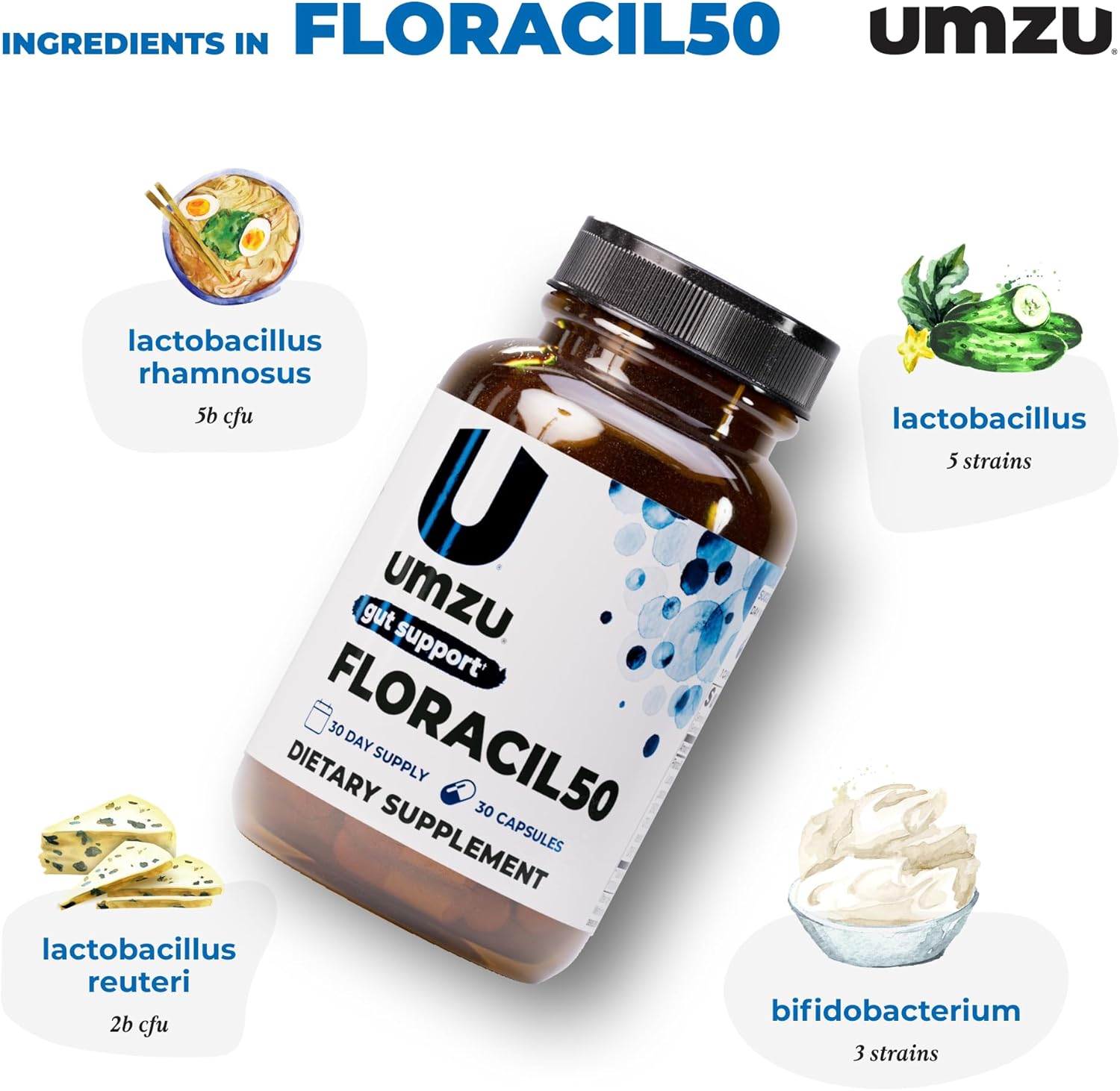 UMZU Floracil50 Probiotic Supplement 30 Day Supply – 50 Billion CFU with Lactobacillus Acidophilus Rhamnosus and Plantarum – Supports Gut Health Digestion Immunity and Microbiome Balance