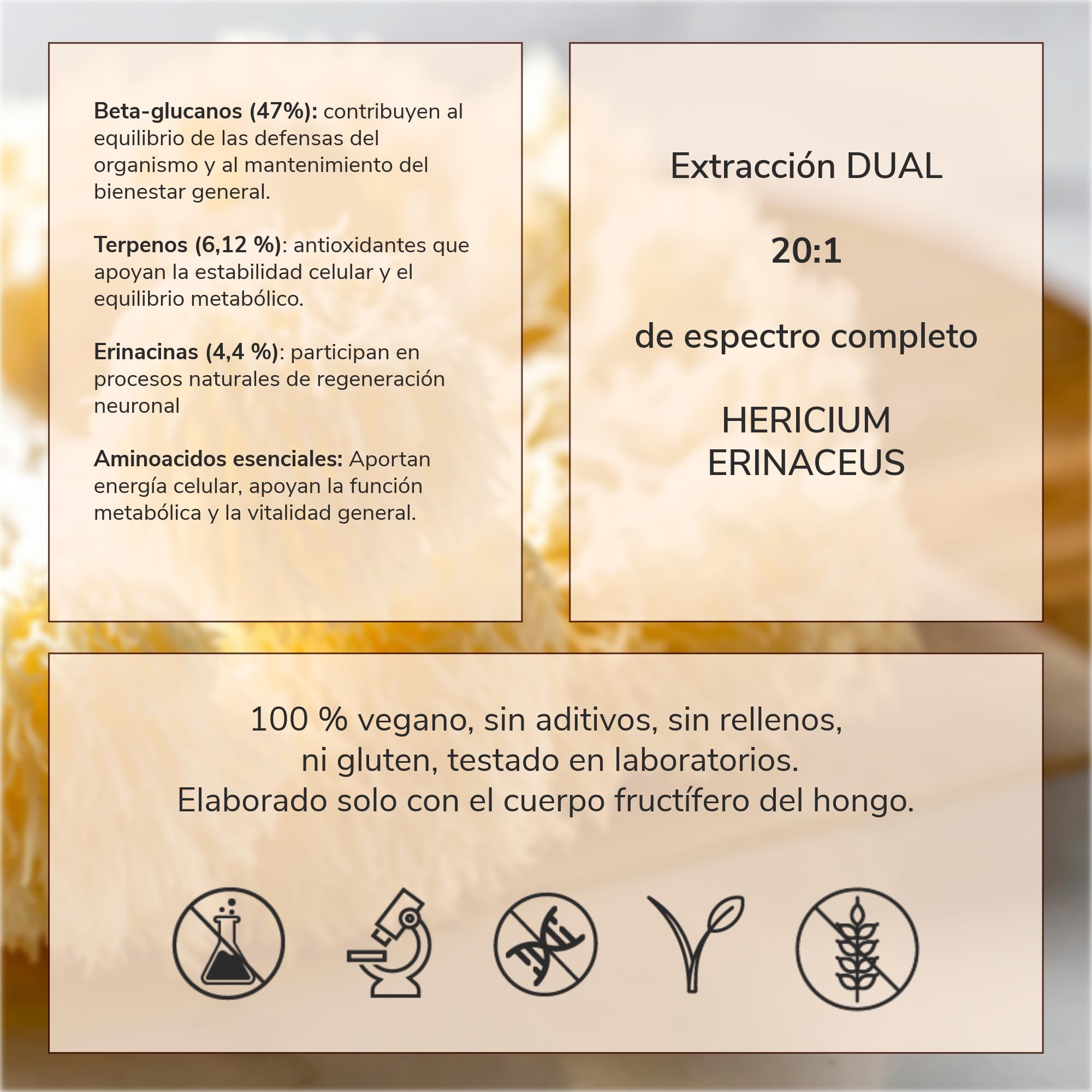 Extracto de Melena de León, Cápsulas Vegetales, Para Memoria y Salud Digestiva, 420mg, Extracto Natural 20:1, Con Beta-glucanos y Terpenos