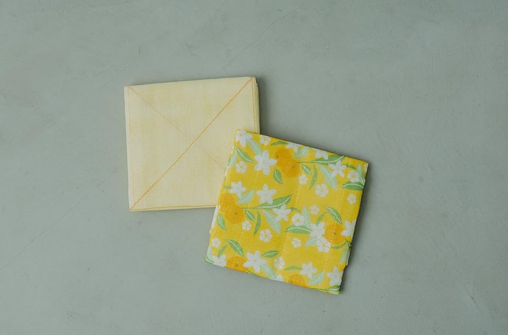 中川一政「月とすっぽん」 真鶴町立中川一政美術館図録 2 - メルカリ