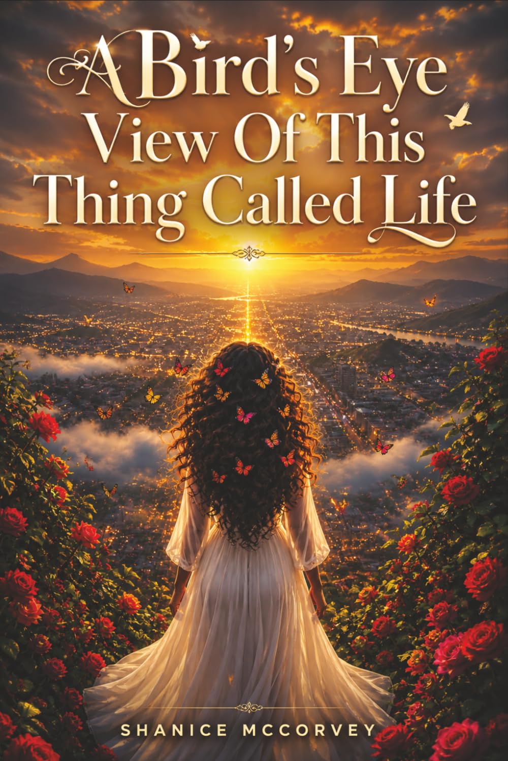 A Bird's Eye View of This Thing Called Life