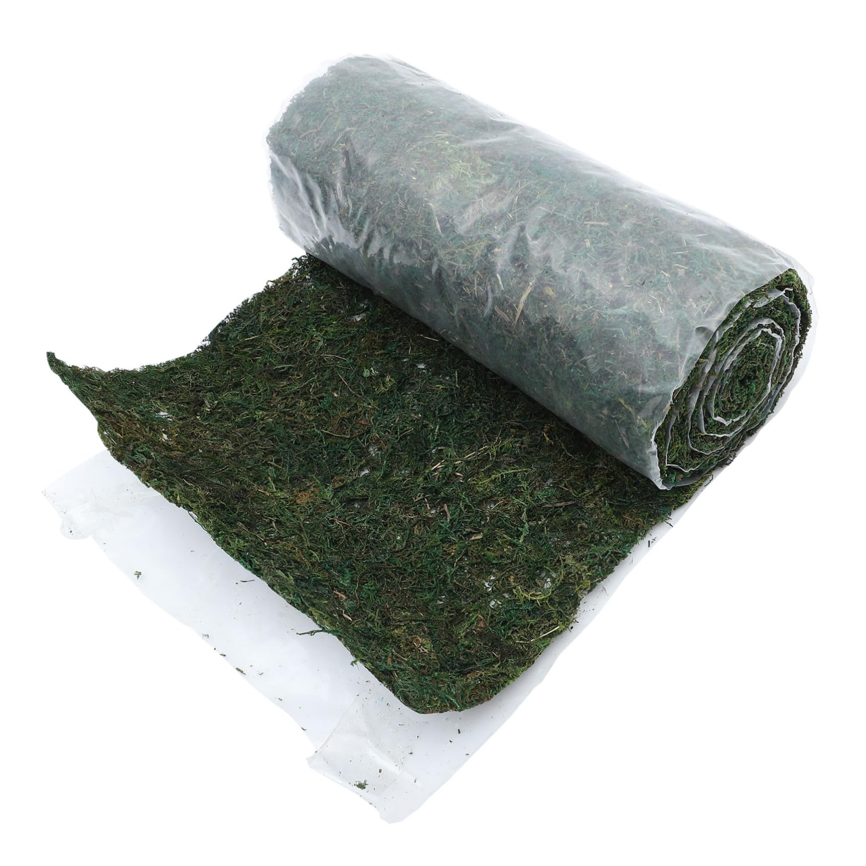 Coussin en mousse synthétique résistant à l'eau pour végétaliser un espace sombre