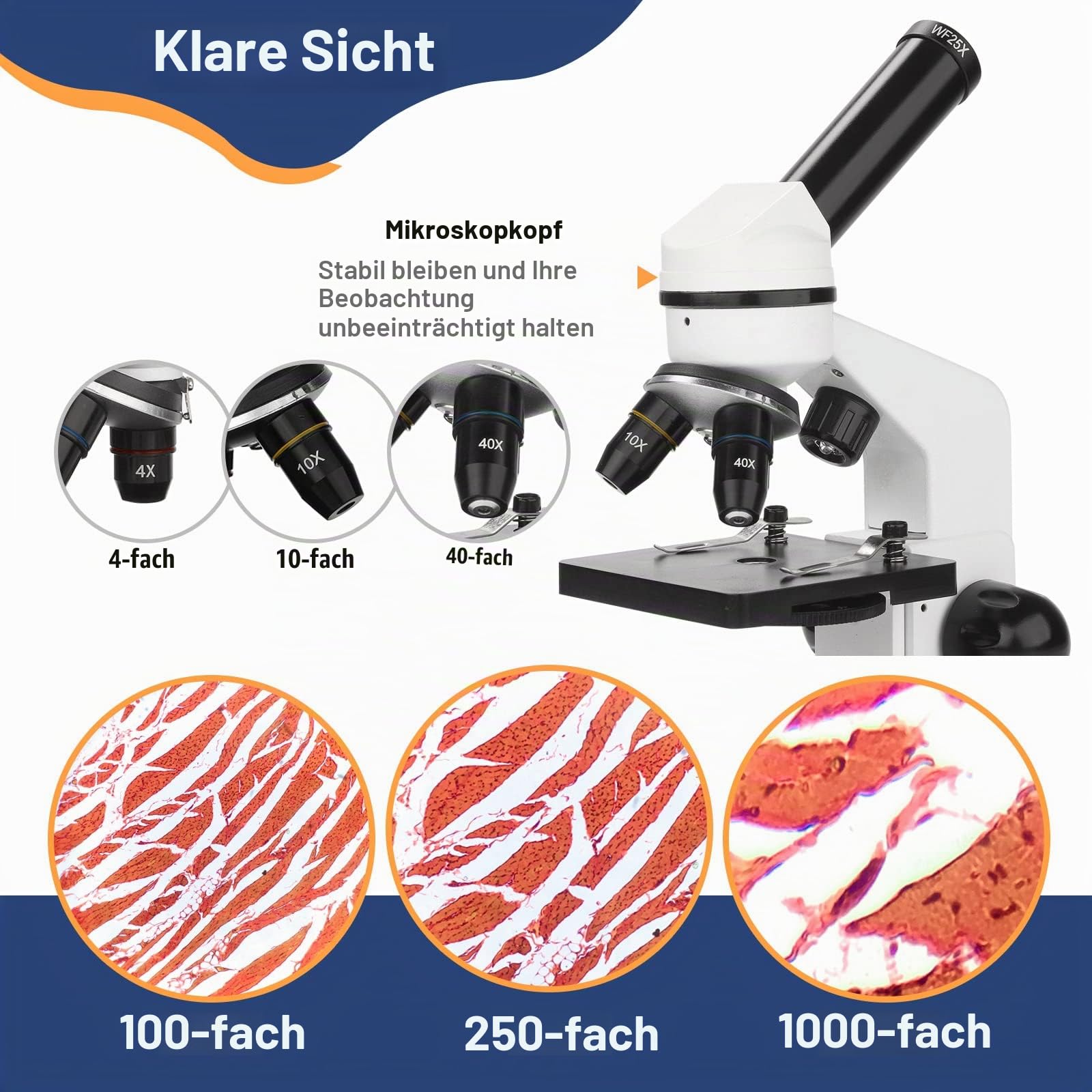 Mikroskop für Kinder Erwachsene 100X-1000X mit Objektträger Set, Dual-LED-Beleuchtung,Professionelle Microscope für Schullabor Zuhause Biologische Bildung