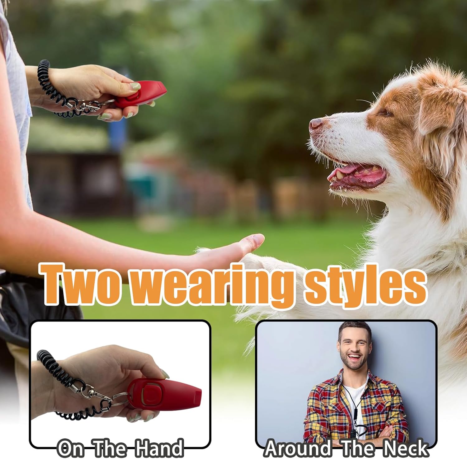 Accessoires sifflet chien dressage