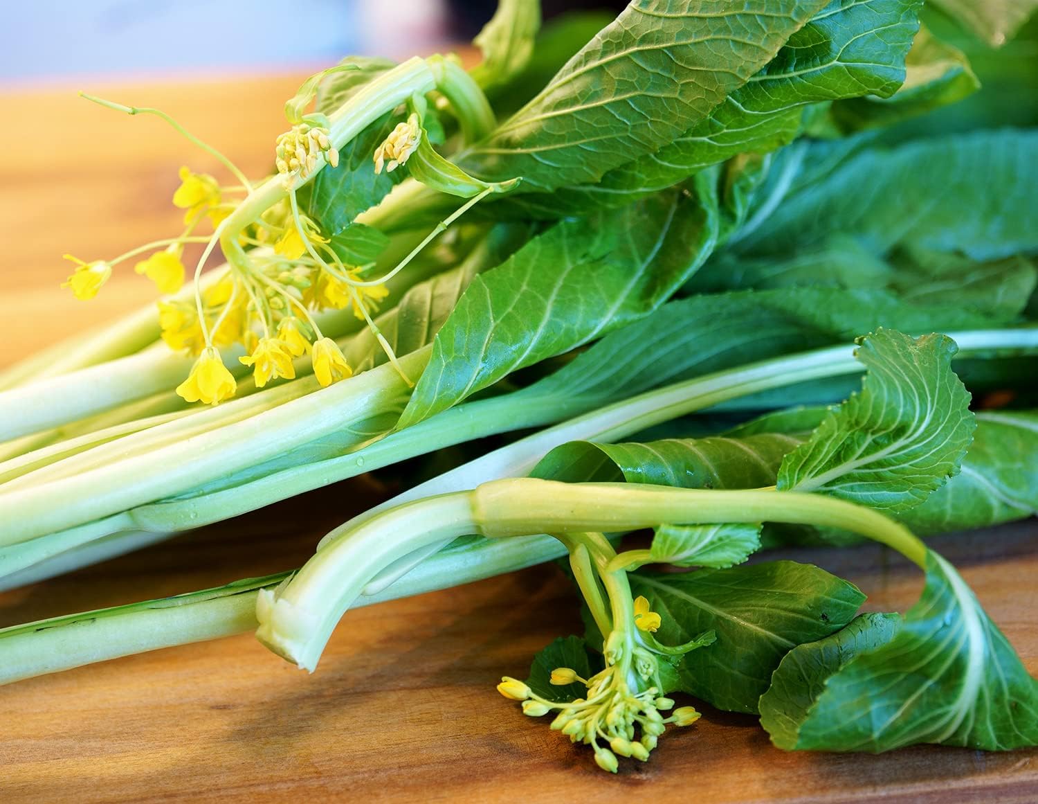 250+ Choy Sum (Gunsho) Asian Green Seeds - Open Pollinated, Non-GMO, Organic, USA Grown