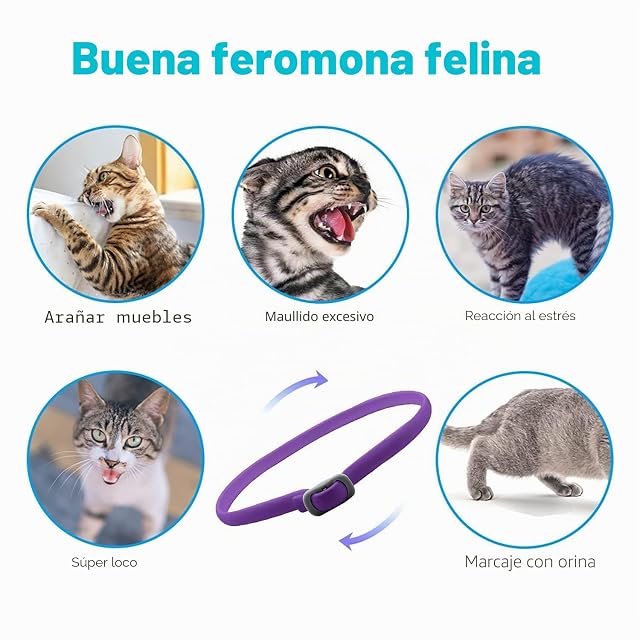 Foto 7 de 8 de Pets4Luv Collar calmante para Gatos - Collares calmantes a feromonas
