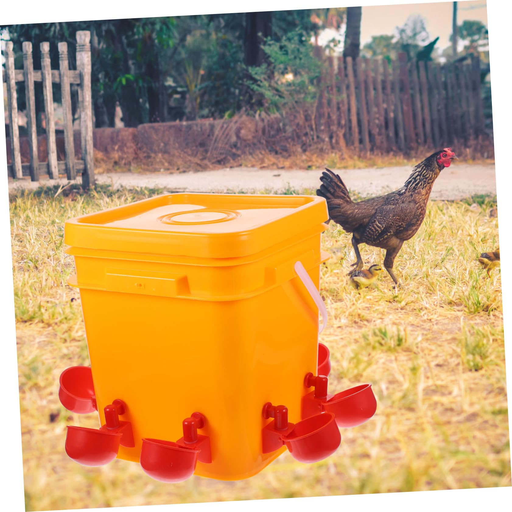 Abreuvoir pour Poulets Automatique avec Tasses D’abreuvement, 1 Set | Remplissage Facile, Distribution Automatique de L’eau, pour Cailles et Animaux Domestiques