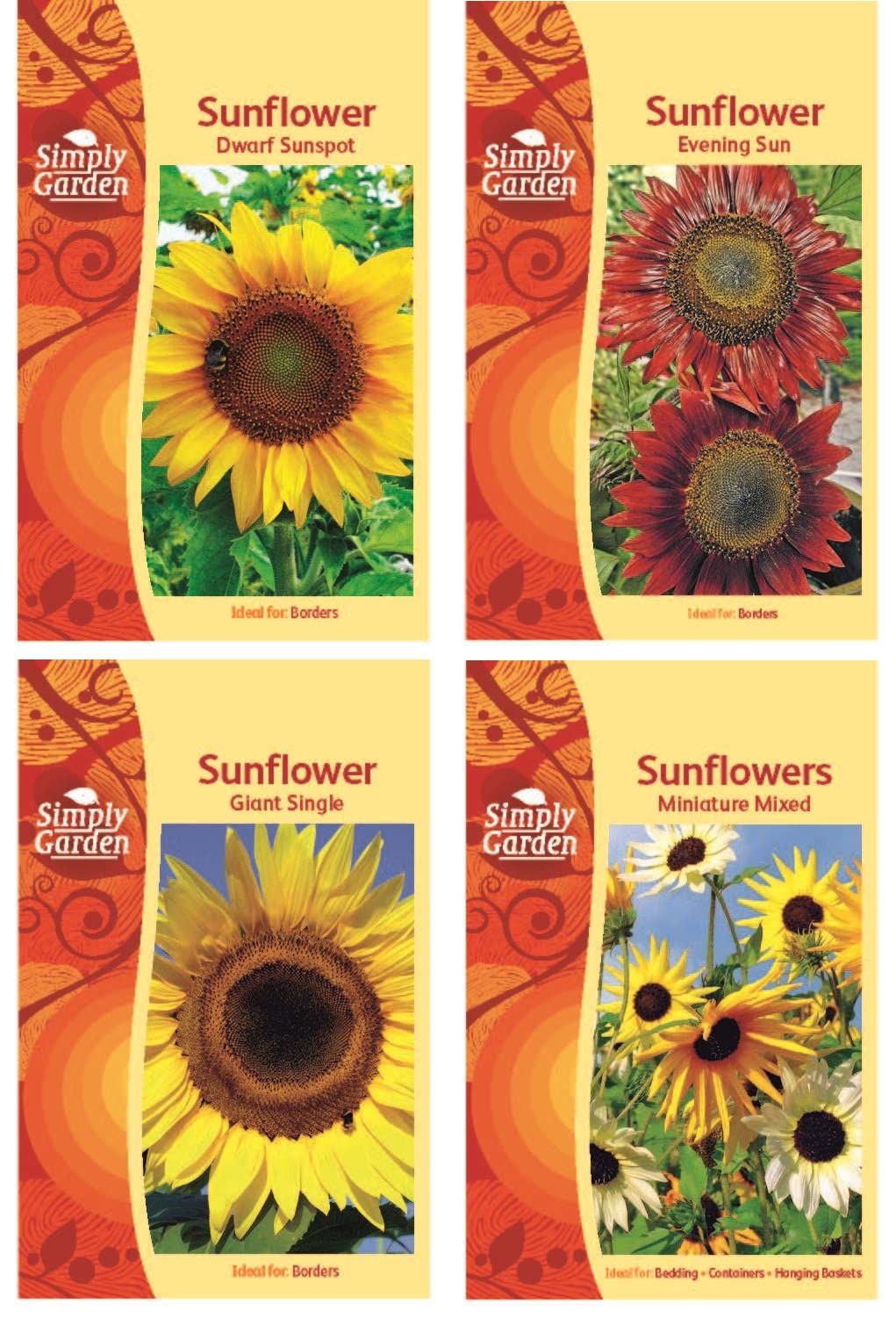 4 Sunflower Seed Varieties for Planting Giant Miniatures Evening Sun Red Yellow in Pictoral Packets