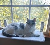 Review Image by otbs otbs